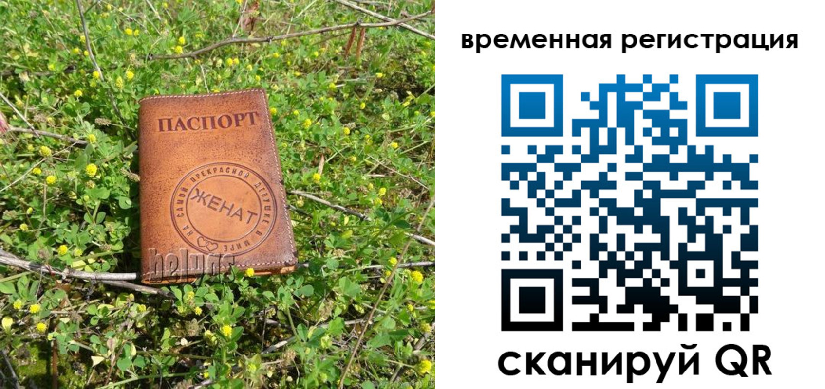прописка регистрация в Голицыно